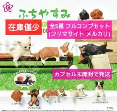 【匿名配送】ふちやすみ 色々わんこ 全5種 フルコンプセット ガチャ