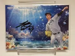 Item thumbnail for item 1ea39fa0-5927-41c3-a173-38cac8be3123