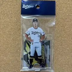 Item thumbnail for item ed23732a-3531-49eb-9289-28876eaf2cc3