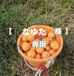 【なゆた 様】専用