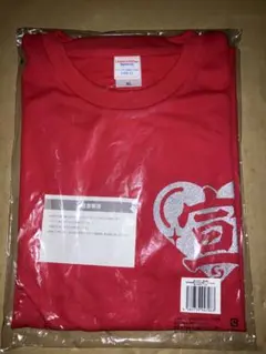 超ときめき♡宣伝部 定番Tシャツ ラメver. 坂井仁香レッド XL 超ときめき♡宣伝部 定番Tシャツ ラメver. 坂井仁香レッド XL - メルカリ