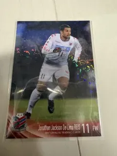 コンサドーレ札幌　ヘイス　パラレルカード