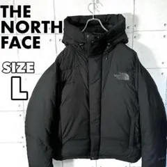 【美品】ノースフェイス オルタレーションバフズジャケット ゴアテックスダウン L
