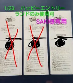 2026年最新】ハッピーエントリー通行証の人気アイテム - メルカリ