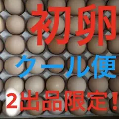 クール便⭕️初卵S100個⭕️みーしゃん様専用‼️