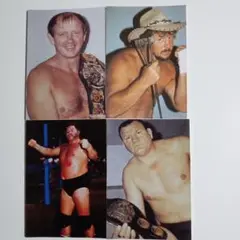 う*ん様 ポピープロレスフィギュア ・ドリーファンクジュニア Amazon.co.jp: ポピーソフビ スーパープロレスラーシリーズ