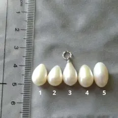 だいや様　確認