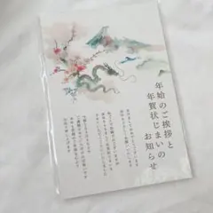 即購入可❣️ 年賀状じまい 10枚入り 私製 印刷済み