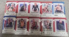 Panini WWE Chronicles シーズンチケット 10枚コンプ