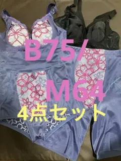 MARUKO マルコ　サクラ　ロングガードル　Mサイズ2枚セット 2025年最新】マルコ_サクラ_ロングガードルの人気アイテム