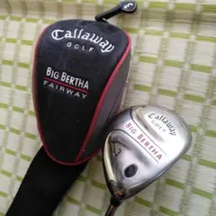 Item thumbnail for item bd1a2fa5-3d13-483e-b1a0-97642e2ac1c3