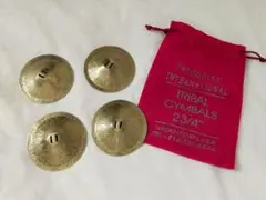 ベリーダンス ATS FCBD ジル ターコイズインターナショナル サロヤン