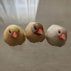 めーちっさい 個体を保てなくなった文鳥2