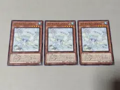 遊戯王 マルチャミー・プルリア 3枚