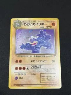 あおぞらショップ様専用　わるいカイリキー