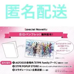AGF2025 すとぷり BIGパンフレット