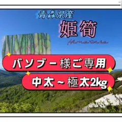青森県産　バンブー様ご専用です。天然根曲がり竹、ネマガリタケ、姫筍　青森県産