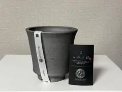三州みやび鉢 鶴仙園 【新品未使用】 - メルカリ