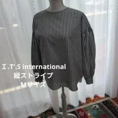 Ｉ.T'.S internationalの縦ストライプMサイズのサムネイル