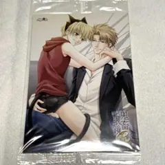 鬼畜眼鏡 キチメガ ミドカツ Mr.R 含む10点セット カード アリス✕クロス 鬼畜眼鏡 キチメガ ミドカツ Mr.R 含む10点セット カード アリス