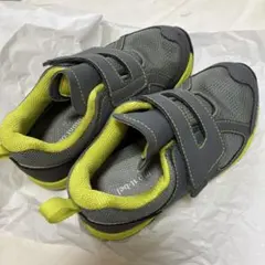 Item thumbnail for item e739c7b5-c190-4614-9791-583b21bce78e