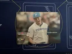 ドリームオーダー 日本ハムファイターズ 威圧 sp