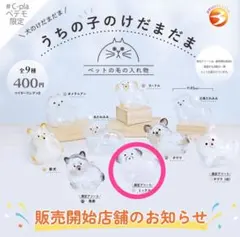 限定アソート　うちの子のけだまだま　犬　ミックス