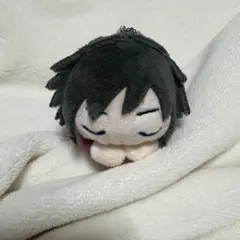 鬼滅の刃はぐキャラコレクション」アニメイトBOX購入特典『冨岡義勇(すやすや)』