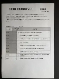 ahoinukebin様 リクエスト 2点 まとめ商品