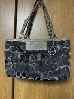 Item thumbnail for item a540074a-f696-4a80-8490-ef66857c0b63