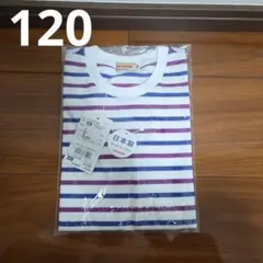 新品未使用　ミキハウス　半袖トップス　Tシャツ　120　ストライプ