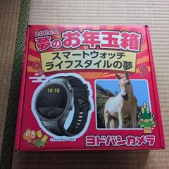 ヨドバシ 夢のお年玉箱 2026年 スマートウォッチ ライフスタイルの夢