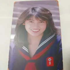 A*U様 【新品未開封】限定品！ビーバップハイスクール　今日子っちの臥龍梅 中山 ビーバップハイスクール 中山美穂 今日子っちの臥龍梅720ml 2本 - メルカリ