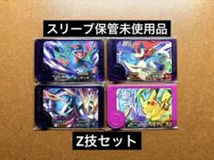 ポケモンフレンダ　未使用　ボーマンダ　ケルディオ　メタグロス　ピカチュウ　ST