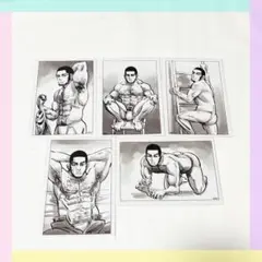 【5点】ゴールデンカムイ 谷垣源次郎 ブロマイド 金カム展 まとめ売り 原作