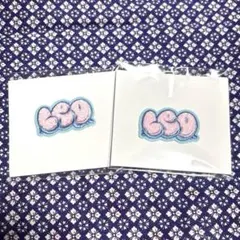 BE:FIRST　モコモコ刺しゅうステッカー　LEO レオ