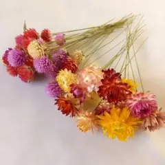 Item thumbnail for item 8e9f8057-1caa-4cf9-a577-3720241da81b