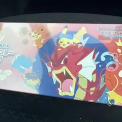 ポケモンセンターヒロシマ スペシャルBOX 新品未開封