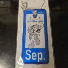 東京ディズニーリゾート ワッペンバッジ Sep. ミッキー