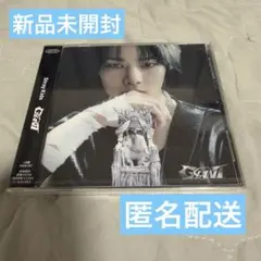 straykids GIANT スンミン FC盤 未開封 - メルカリ