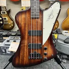 希少SG Epiphone BurstBucker 2/3搭載純正ハードケース付 希少BurstBucker 2/3搭載EpiphoneSG純正ハードケース付 - メルカリ