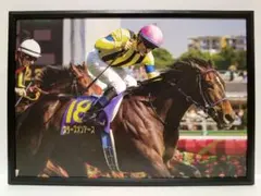 競馬 ステレンボッシュ パネル 競馬ブック 桜花賞 A4版