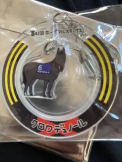 Welcomeチャンス E賞　クロワデュノール　競馬