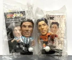 コリンシアン　ジャパンラッキーボックス　ファンニステルローイ 激レア ラッキーボックス ファンニステルローイ コリンシアン