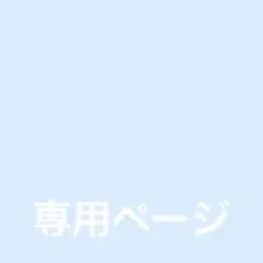 専用ページ