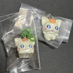 【新品未開封】ぷちきゅあ ココ 2点セット