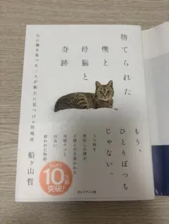 【美品】 捨てられた僕と母猫と奇跡 : 心に傷を負った二人が新たに見つけた居場所