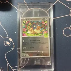 プロモ　イーブイ196/SV-P ポケカバトルをはじめよう！ 硬質ケース付き②