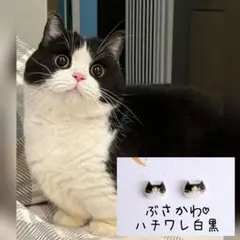 小さなぶさかわ ハチワレ猫 白黒 ピアス イヤリング