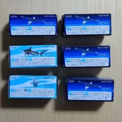 黒潮コメッコ フィギュア AQUATALES ～黒潮の魚たち～３種６体のサムネイル